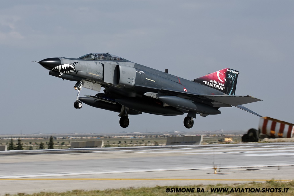 DSC01513crop_ANATOLIAN EAGLE_2014-2_KONYA (TR)_18.06.2014