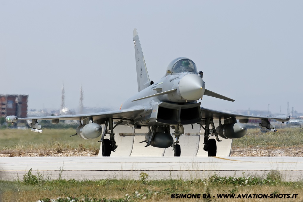 DSC0300_ANATOLIAN EAGLE_2014-2_KONYA (TR)_18.06.2014