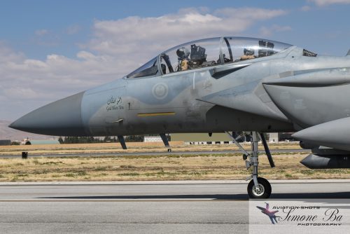 IMG_00396_ANATOLIAN EAGLE 2025-2_ KONYA (LTAN) - SPOTTER DAY - 02.07.2025.wmk