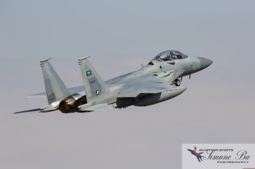 IMG_00647_ANATOLIAN EAGLE 2025-2_ KONYA (LTAN) - SPOTTER DAY - 02.07.2025.wmk