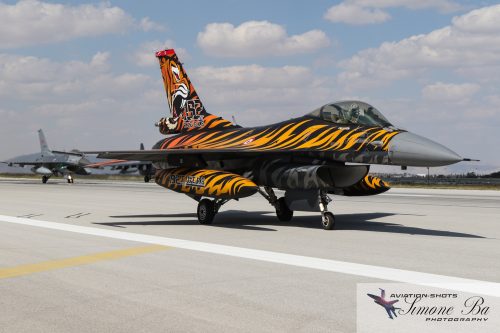 IMG_06435_ANATOLIAN EAGLE 2025-2_ KONYA (LTAN) - SPOTTER DAY - 02.07.2025.wmk