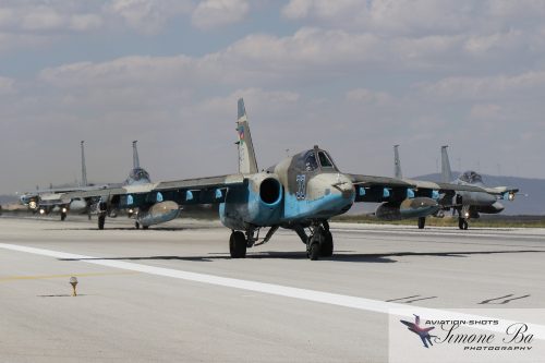 IMG_06464_ANATOLIAN EAGLE 2025-2_ KONYA (LTAN) - SPOTTER DAY - 02.07.2025.wmk