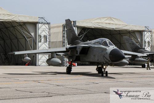 img_00229_spotter-day-6_med_hr