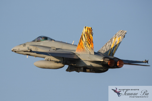 img_01292_nato-tiger-meet_med_hr