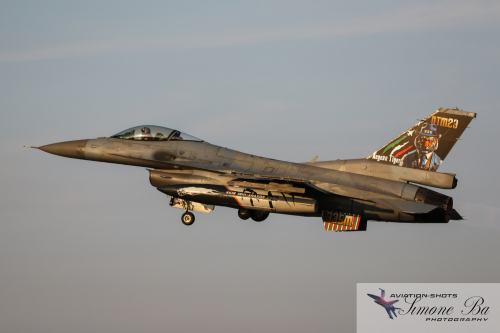 img_01686_nato-tiger-meet_med_hr