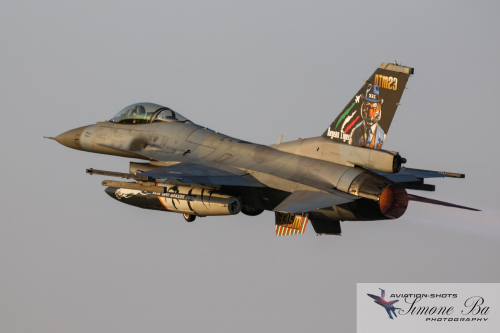 img_01689_nato-tiger-meet_med_hr